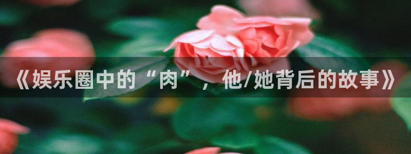 摩登3：《娱乐圈中的“肉”，他/她背后的故事》